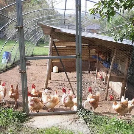 Сasa de vacaciones Au Coeur De La Nature Avec Ses Animaux Saint-Germain-du-Salembre