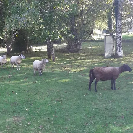 Сasa de vacaciones Au Coeur De La Nature Avec Ses Animaux