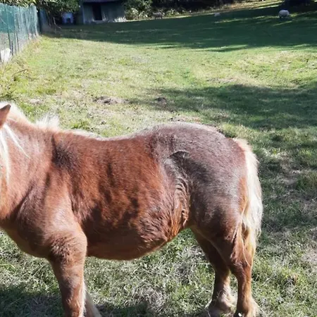 Au Coeur De La Nature Avec Ses Animaux Сasa de vacaciones *