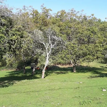 Au Coeur De La Nature Avec Ses Animaux Сasa de vacaciones