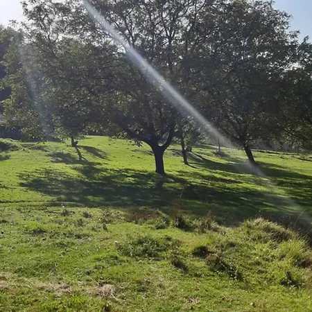 Au Coeur De La Nature Avec Ses Animaux * Saint-Germain-du-Salembre