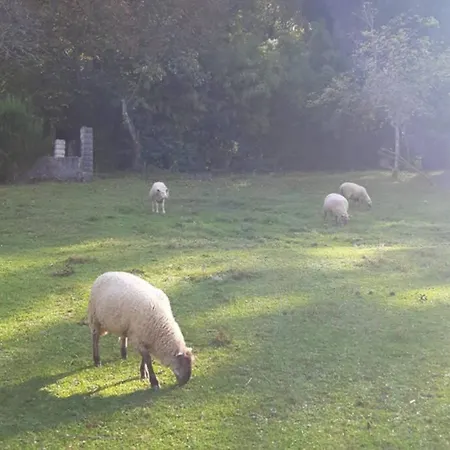 Au Coeur De La Nature Avec Ses Animaux Сasa de vacaciones Saint-Germain-du-Salembre