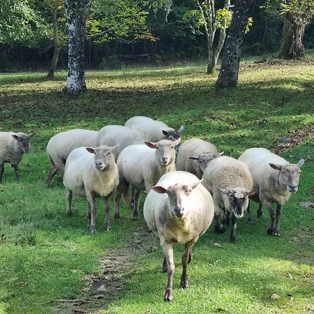 Сasa de vacaciones Au Coeur De La Nature Avec Ses Animaux